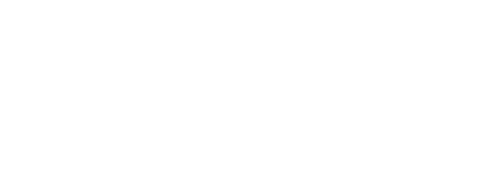 Миссия на луну
